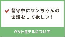 留守中にワンちゃんの世話をして欲しい！ペットホテルについて