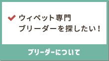 ウィペット専門ブリーダーを探したい！ブリーダーについて